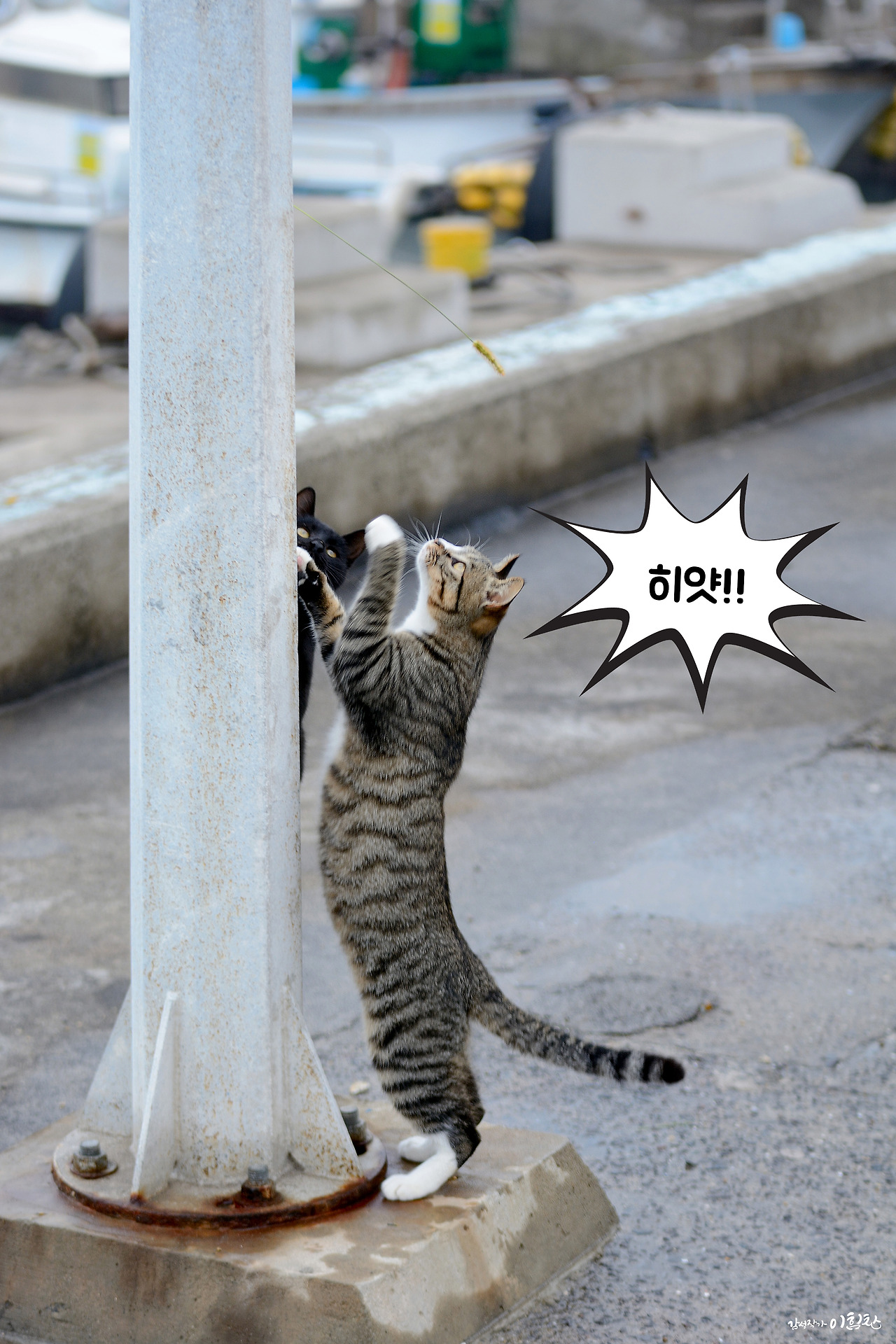 강풀사건 (8).jpg