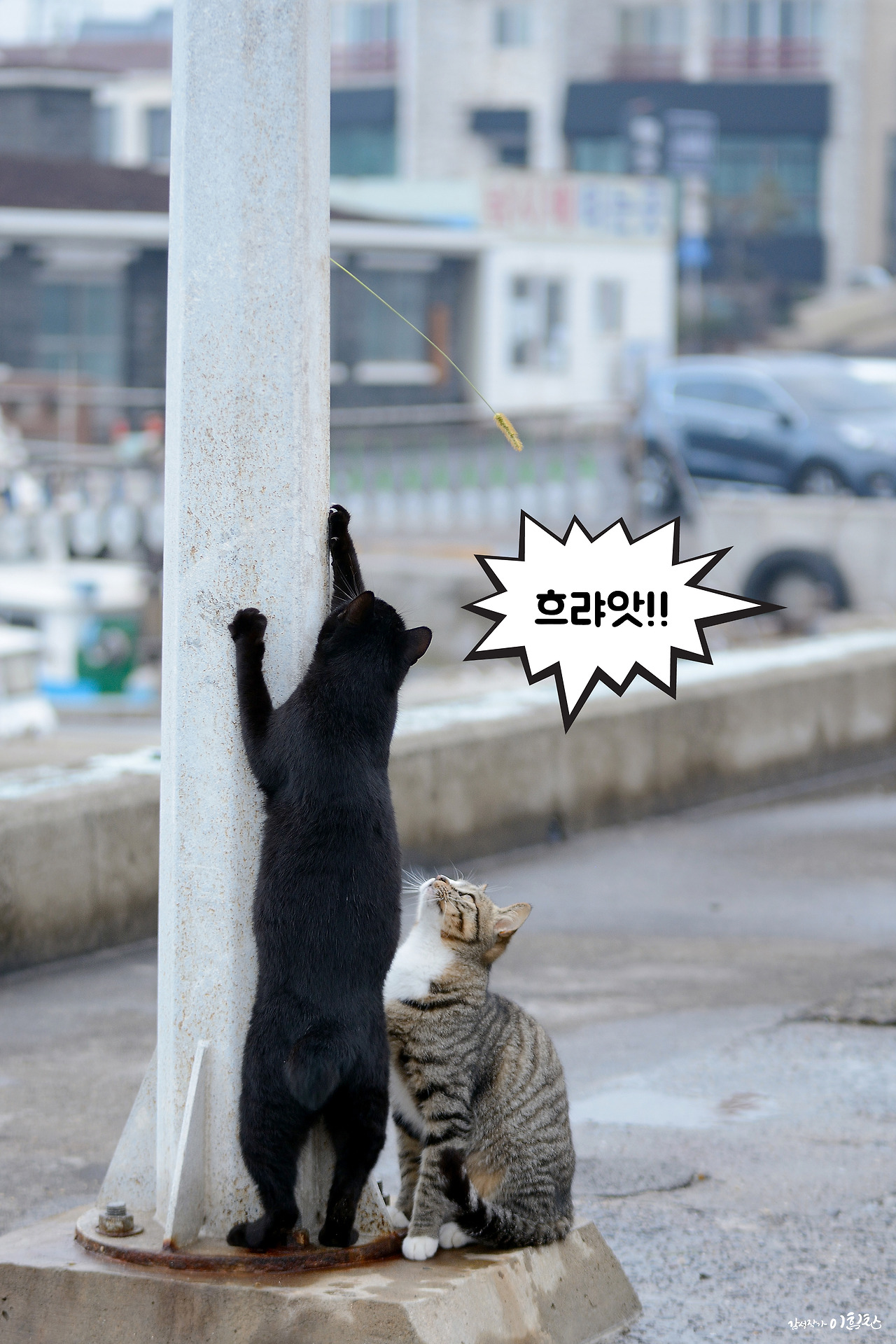 강풀사건 (12).jpg