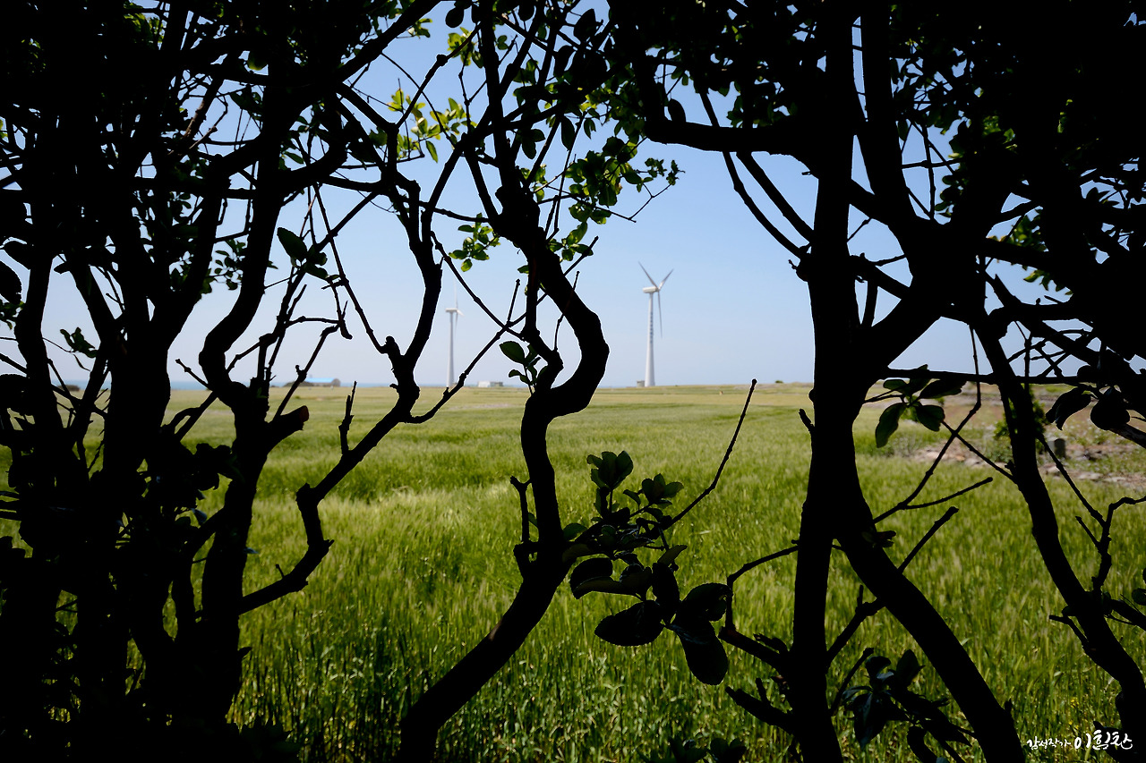 가파도-가로 (9).jpg