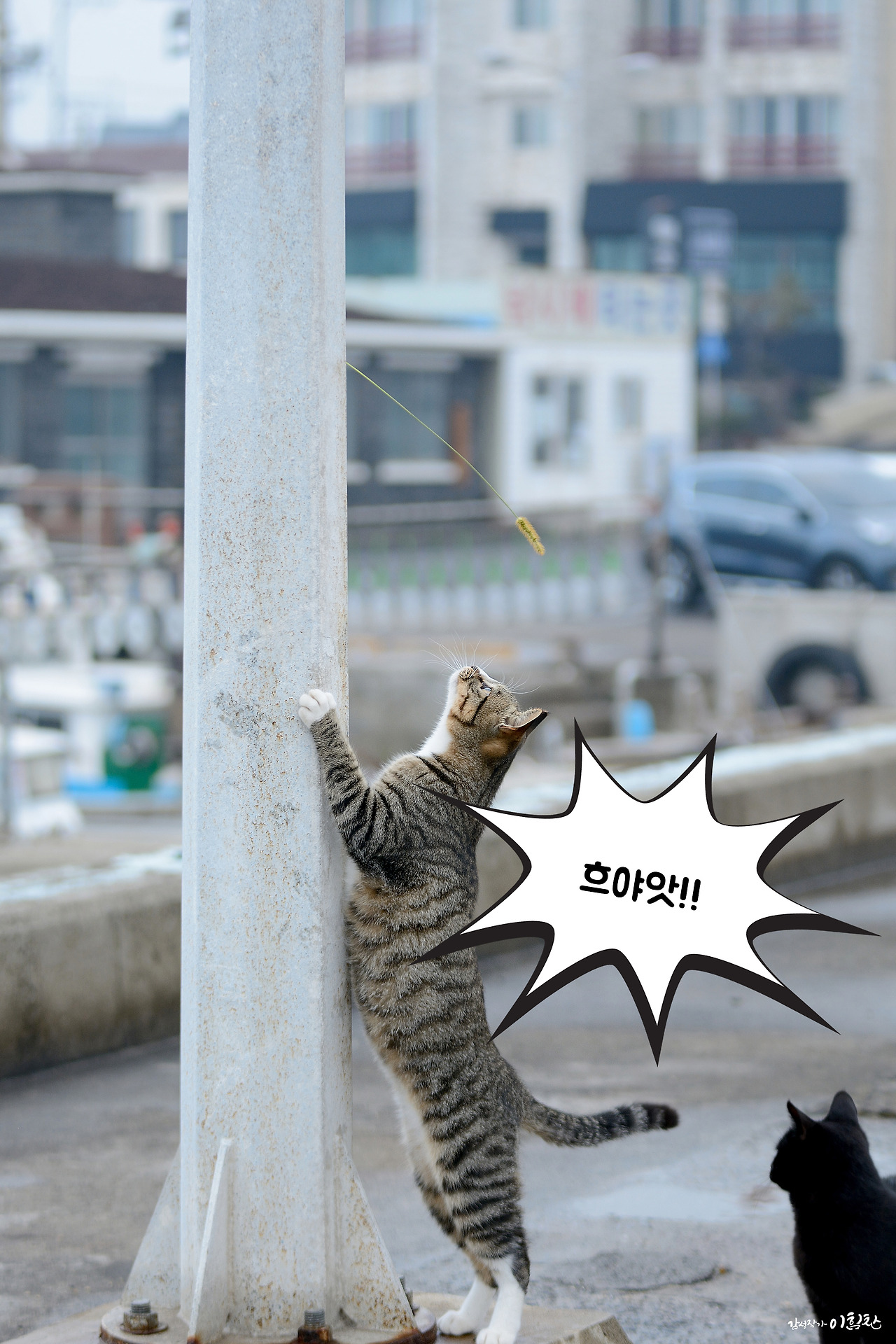 강풀사건 (15).jpg