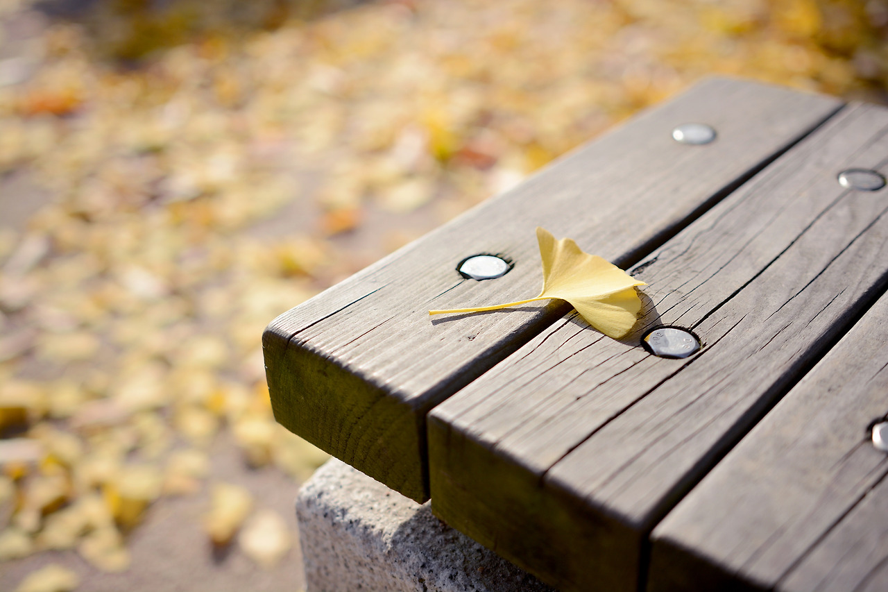 고궁이야기 (13).jpg