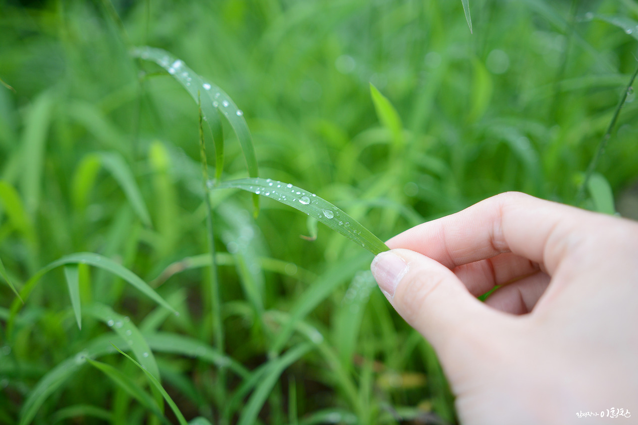 빗방울.jpg