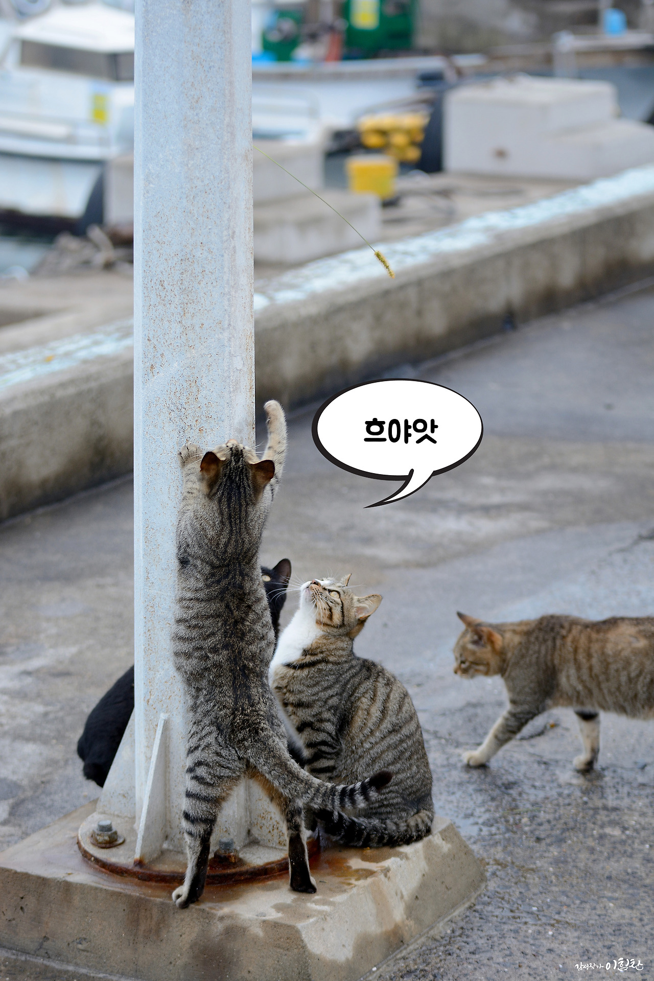 강풀사건 (6).jpg