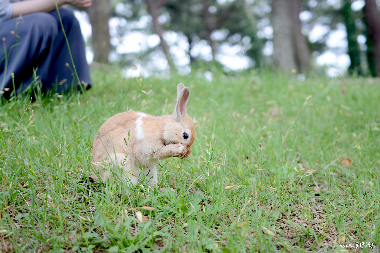 체류34일 (16).jpg