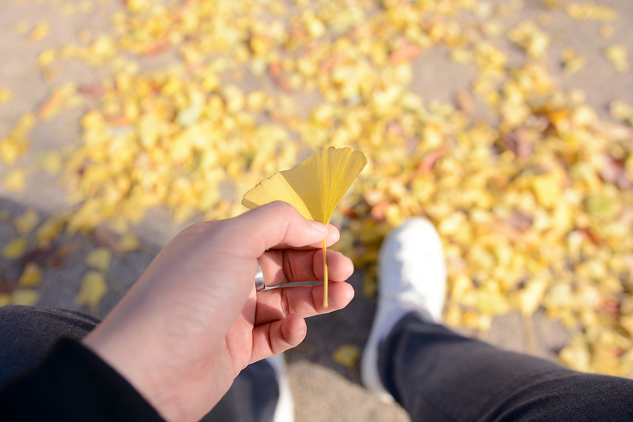 고궁이야기 (12).jpg