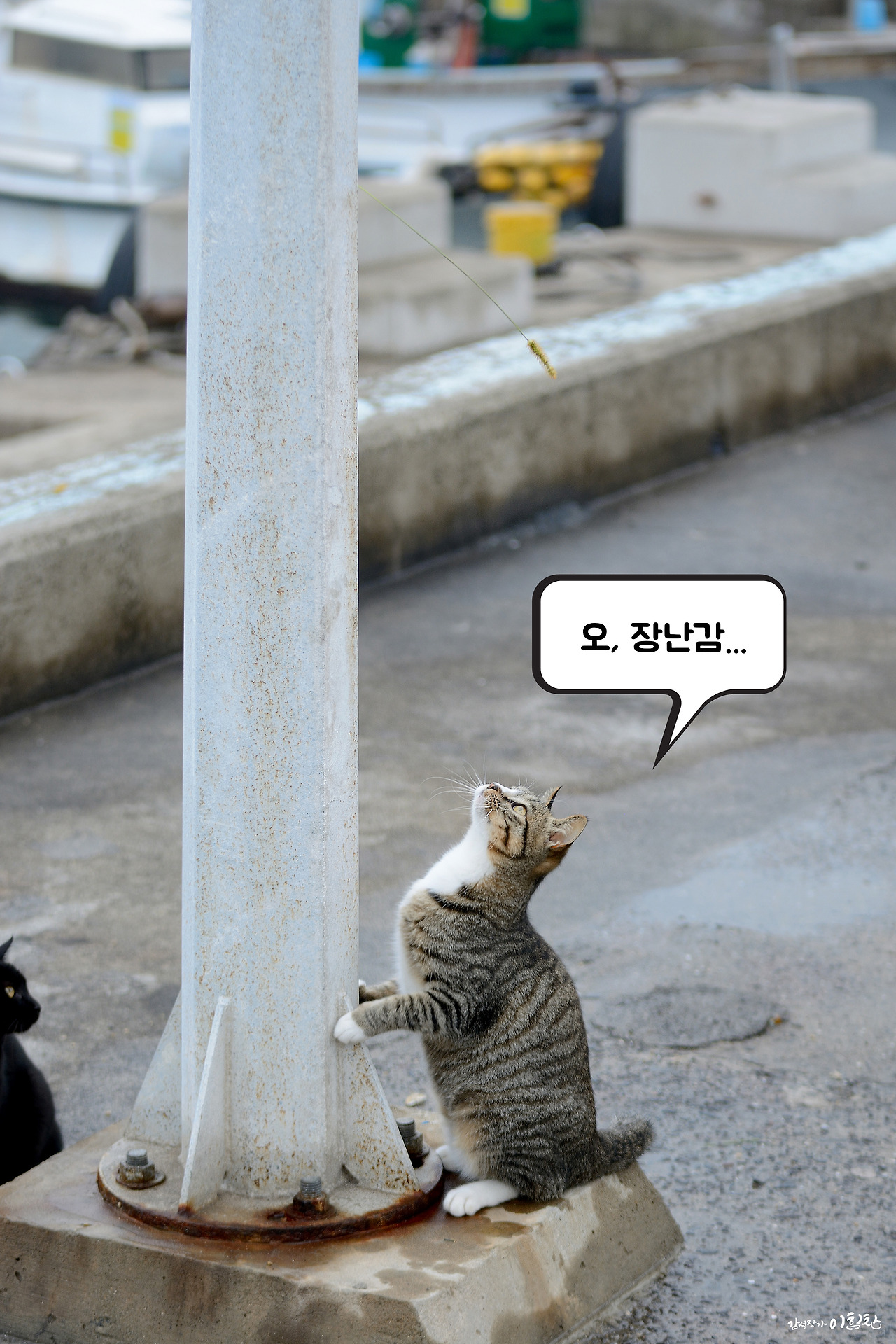 강풀사건 (4).jpg