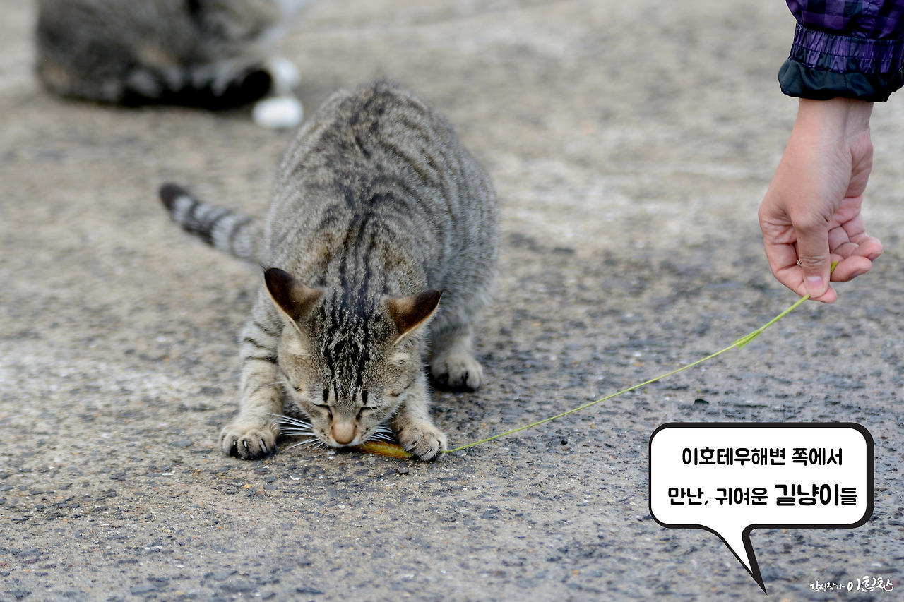 강풀사건 (1).jpg