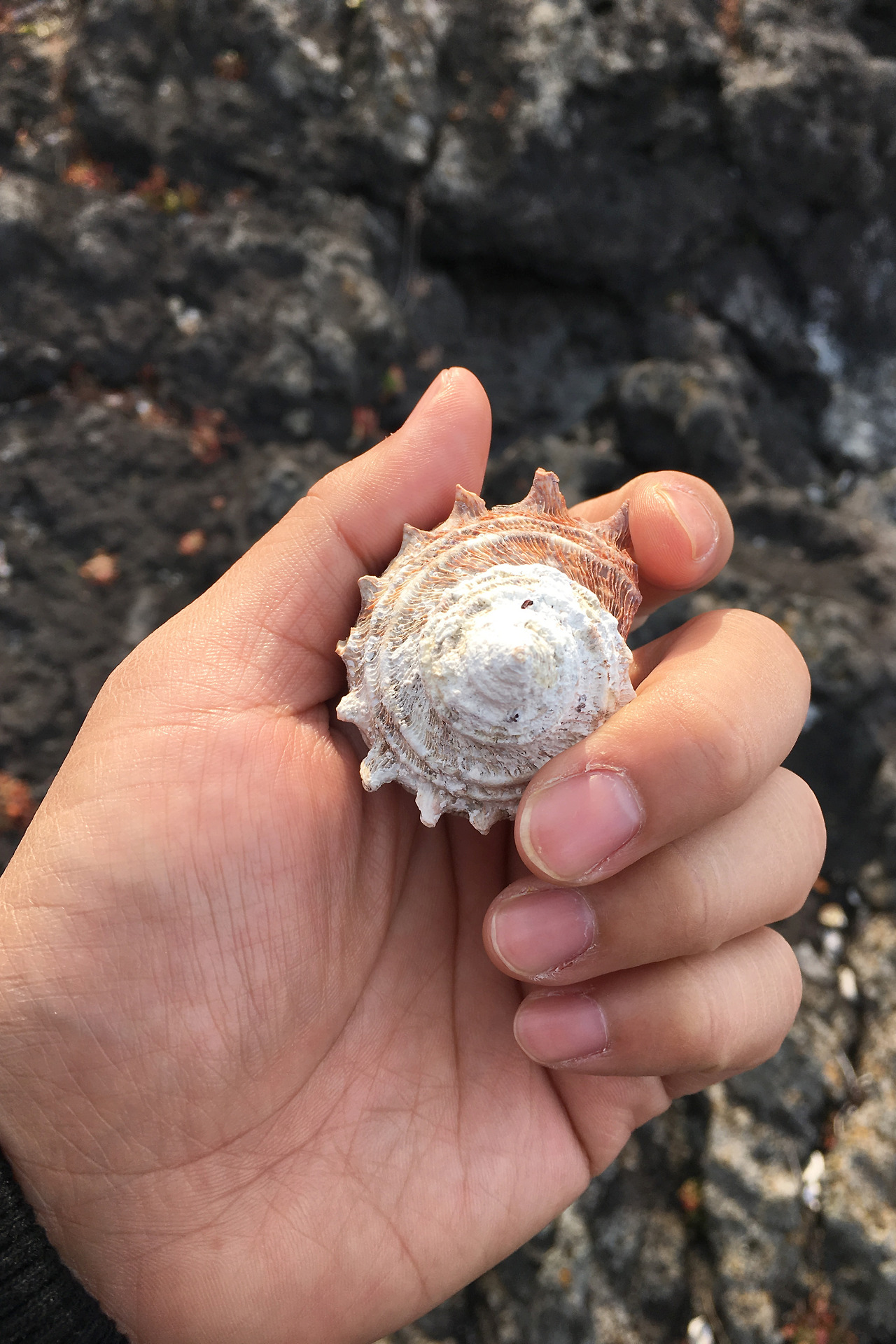 삼달-야외풍경 (3).jpg