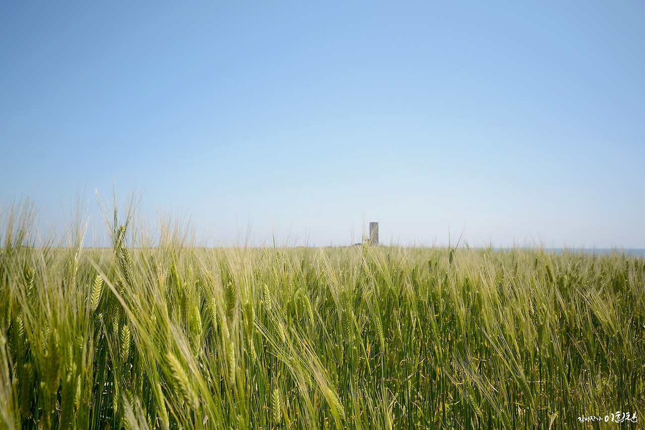 가파도-가로 (12).jpg