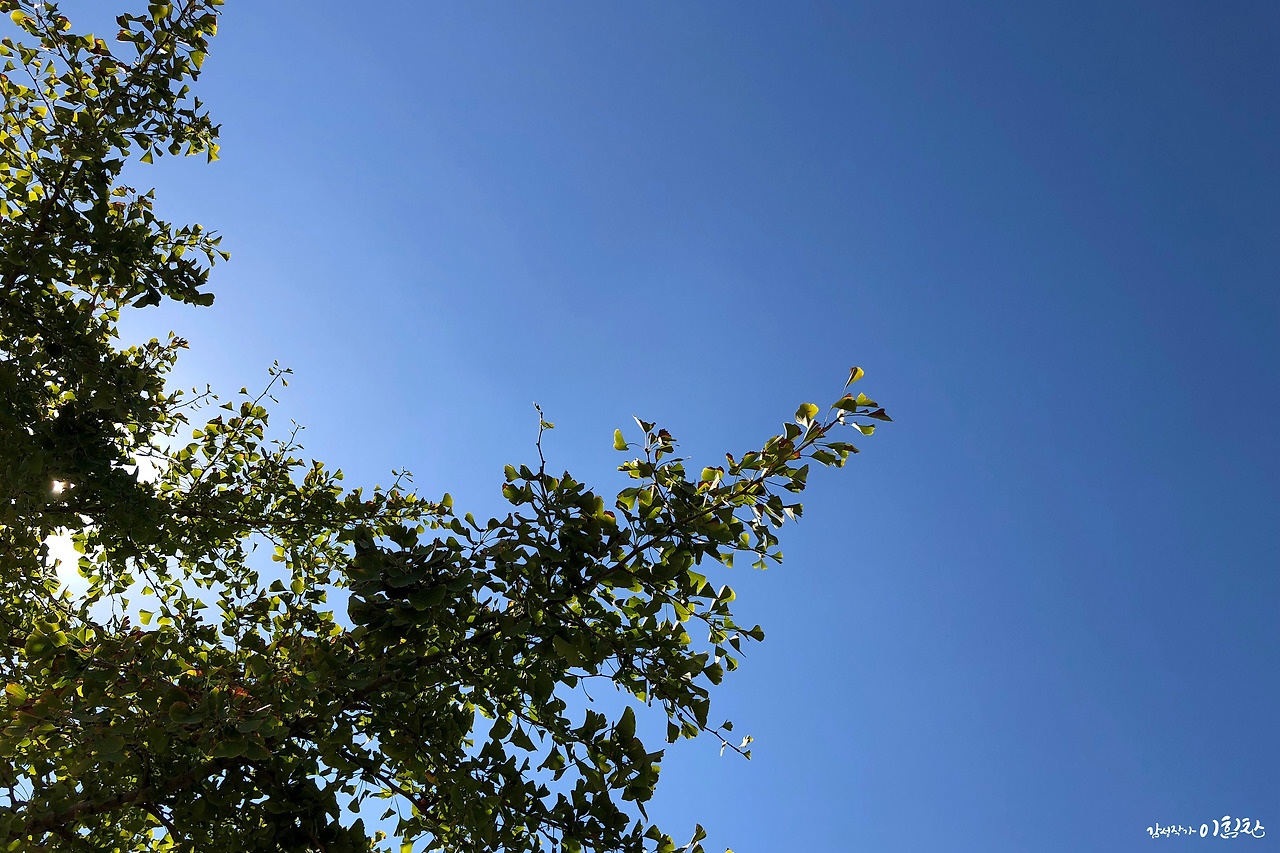빈하늘2.jpg