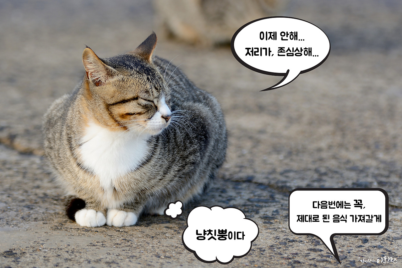 강풀사건 (20).jpg