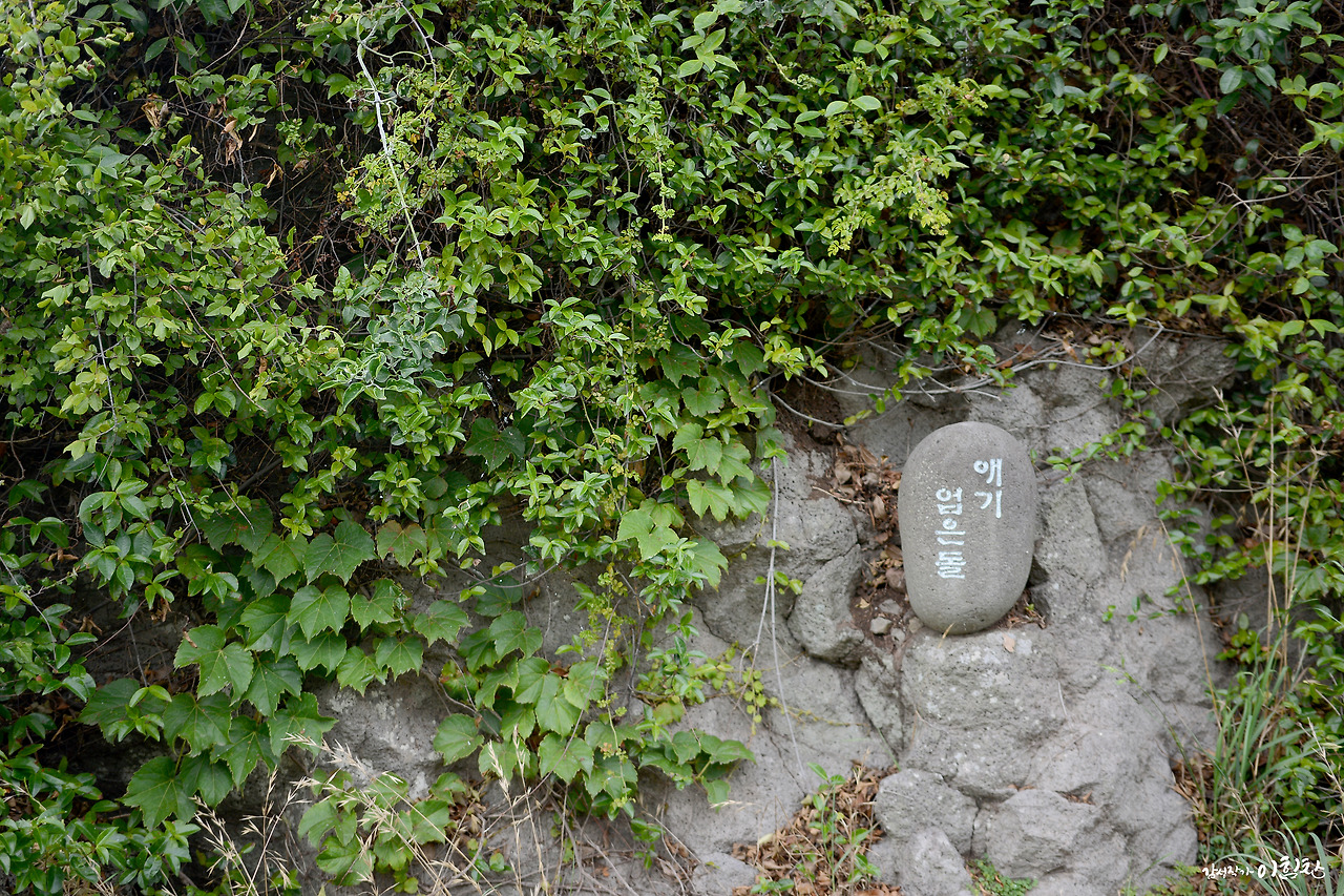 체류34일 (11).jpg