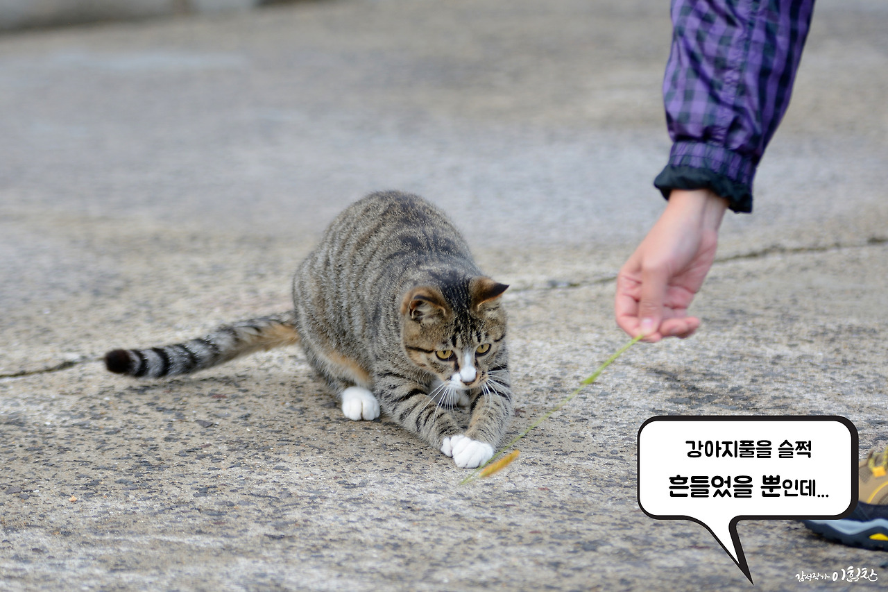 강풀사건 (2).jpg