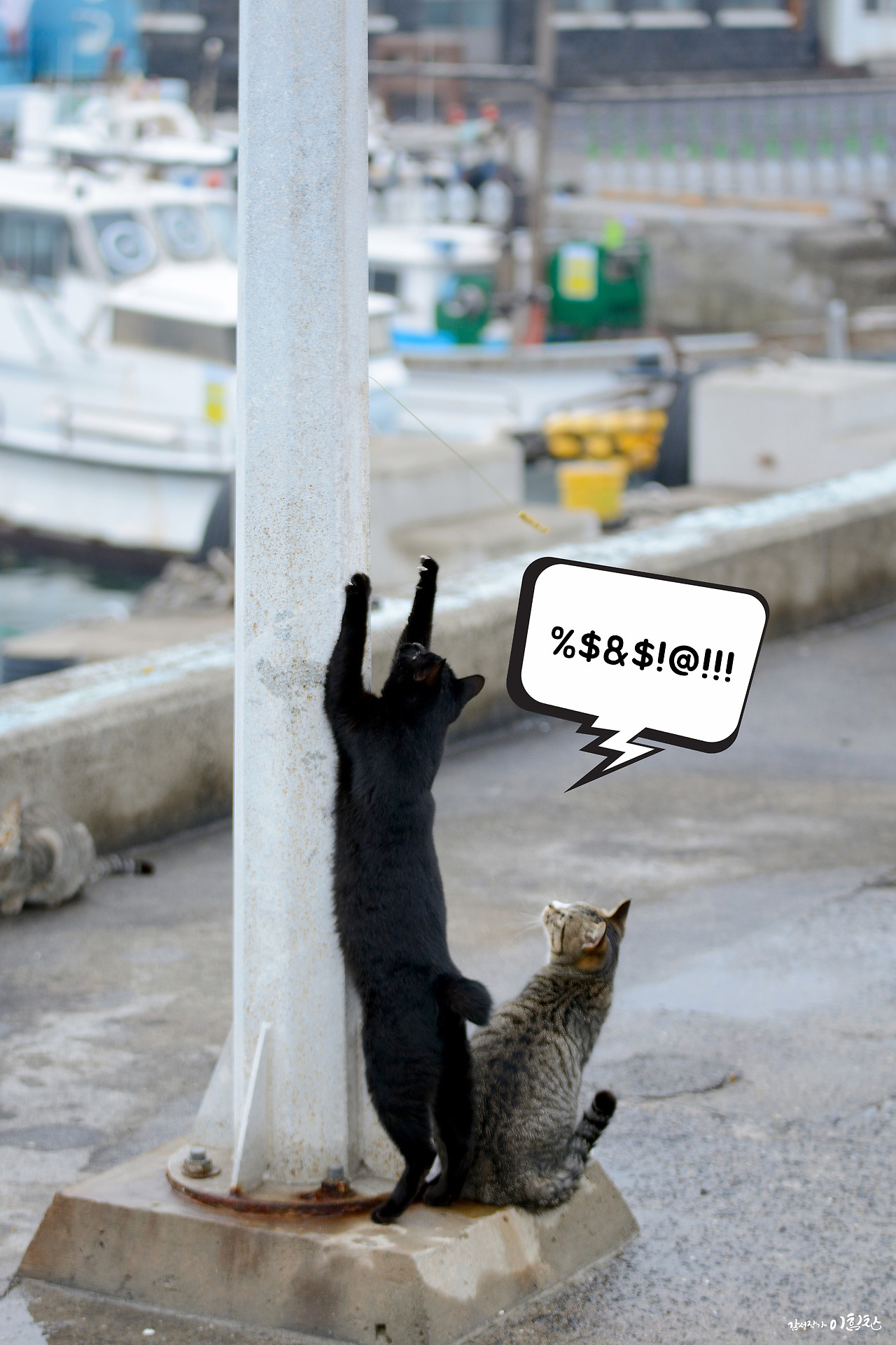 강풀사건 (17).jpg