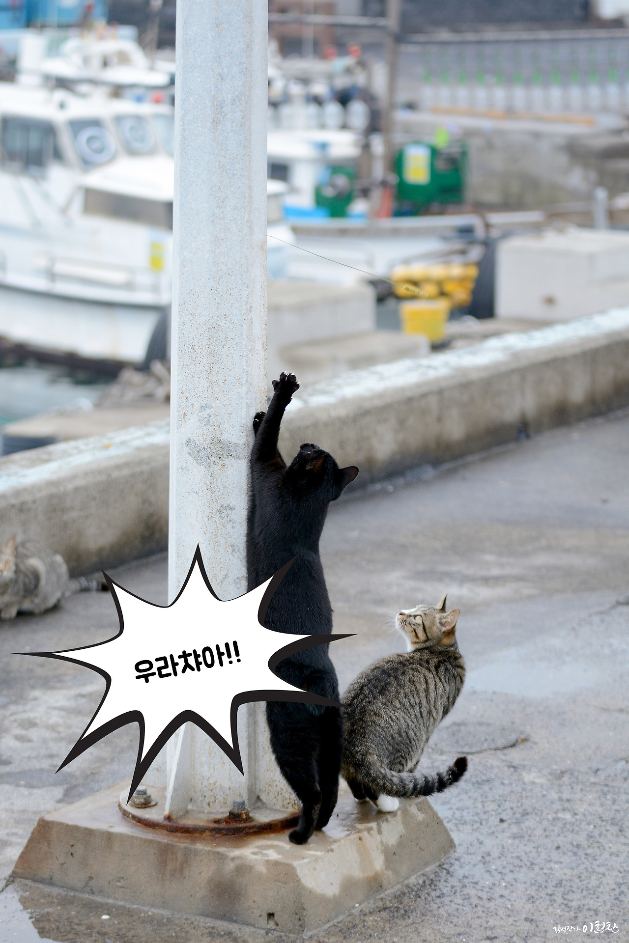 강풀사건 (16).jpg