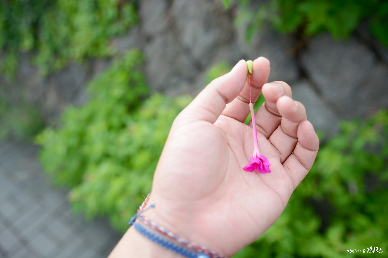 체류34일 (18).jpg