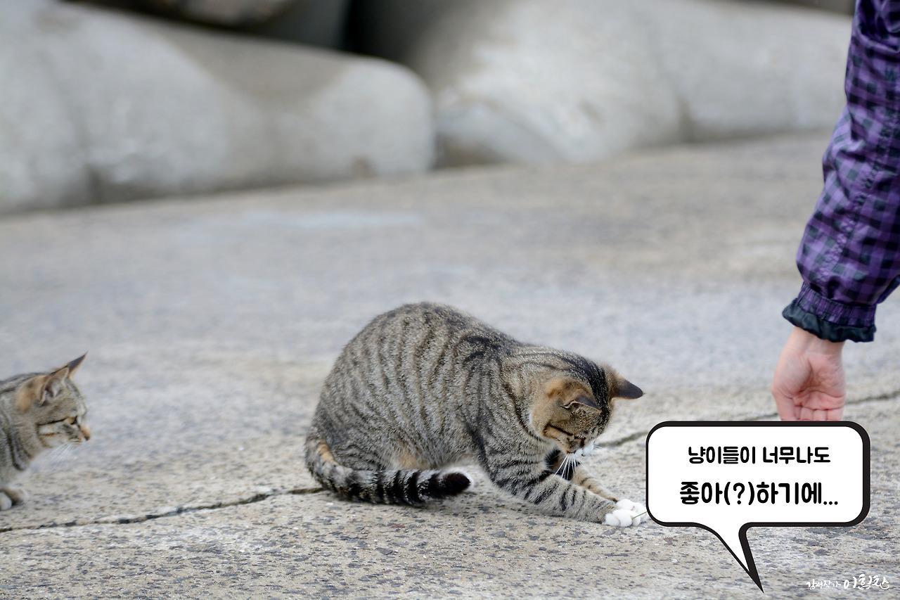 강풀사건 (3).jpg