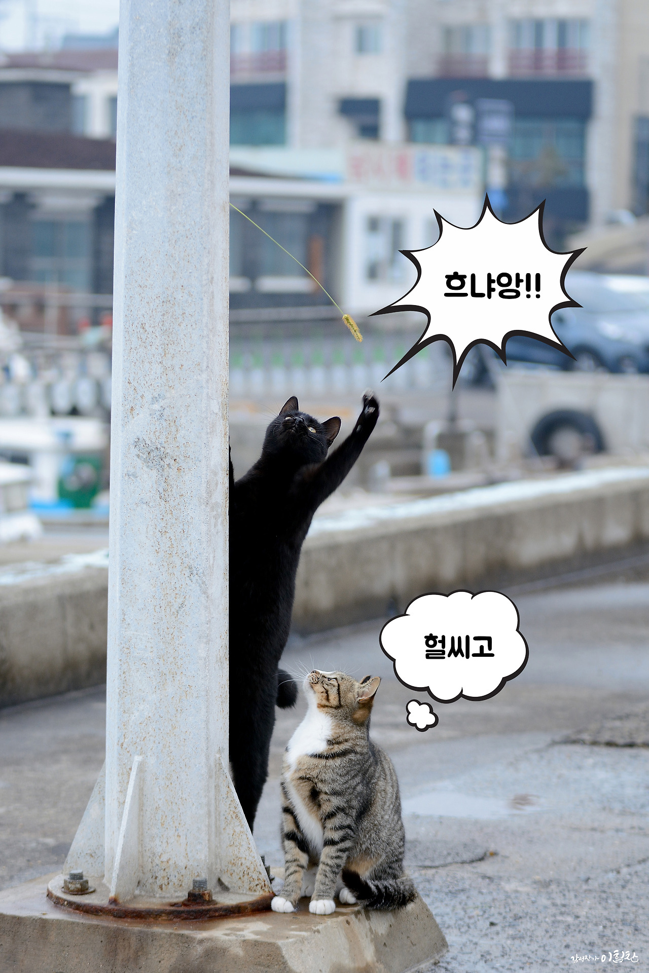 강풀사건 (13).jpg