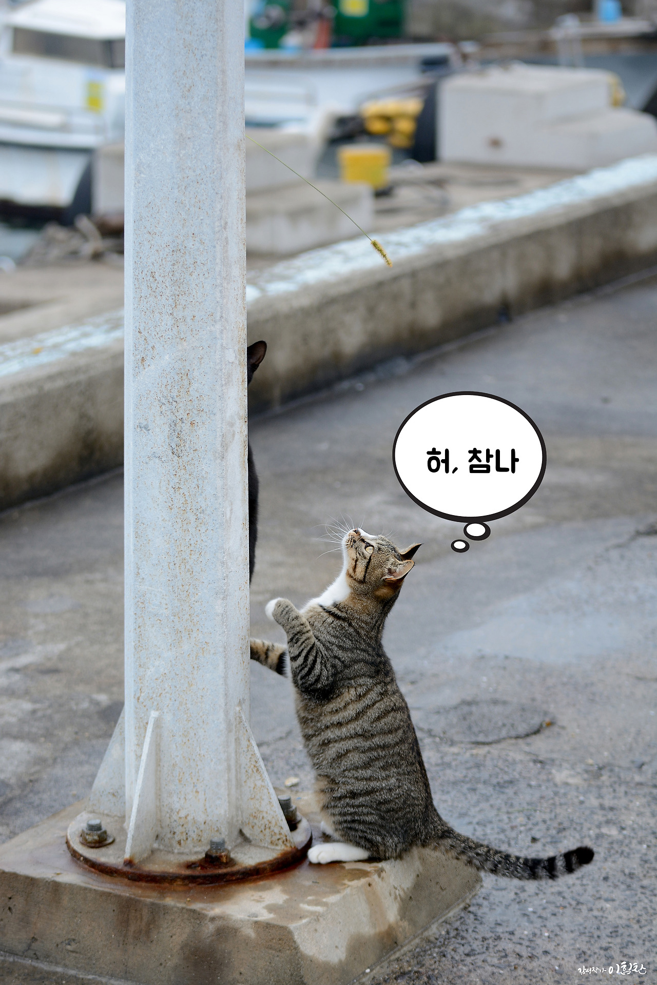 강풀사건 (7).jpg