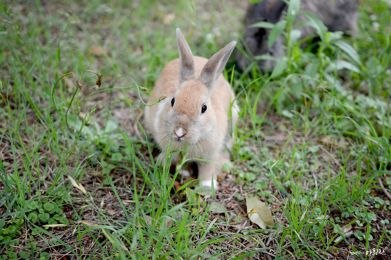 체류34일 (15).jpg