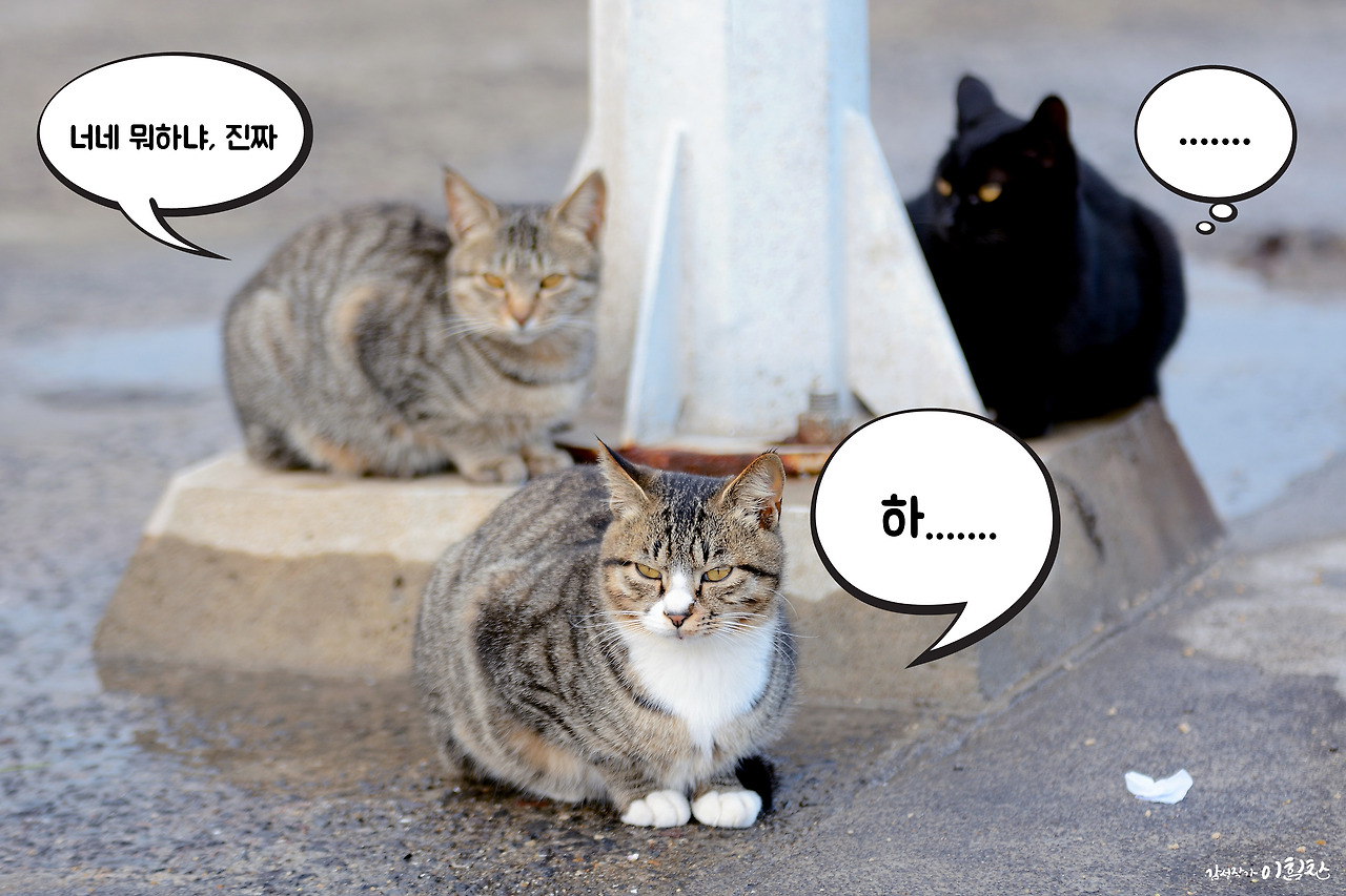 강풀사건 (18).jpg