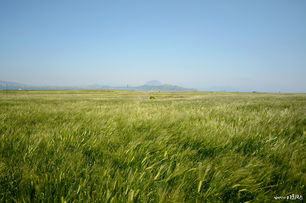 가파도-가로 (5).jpg