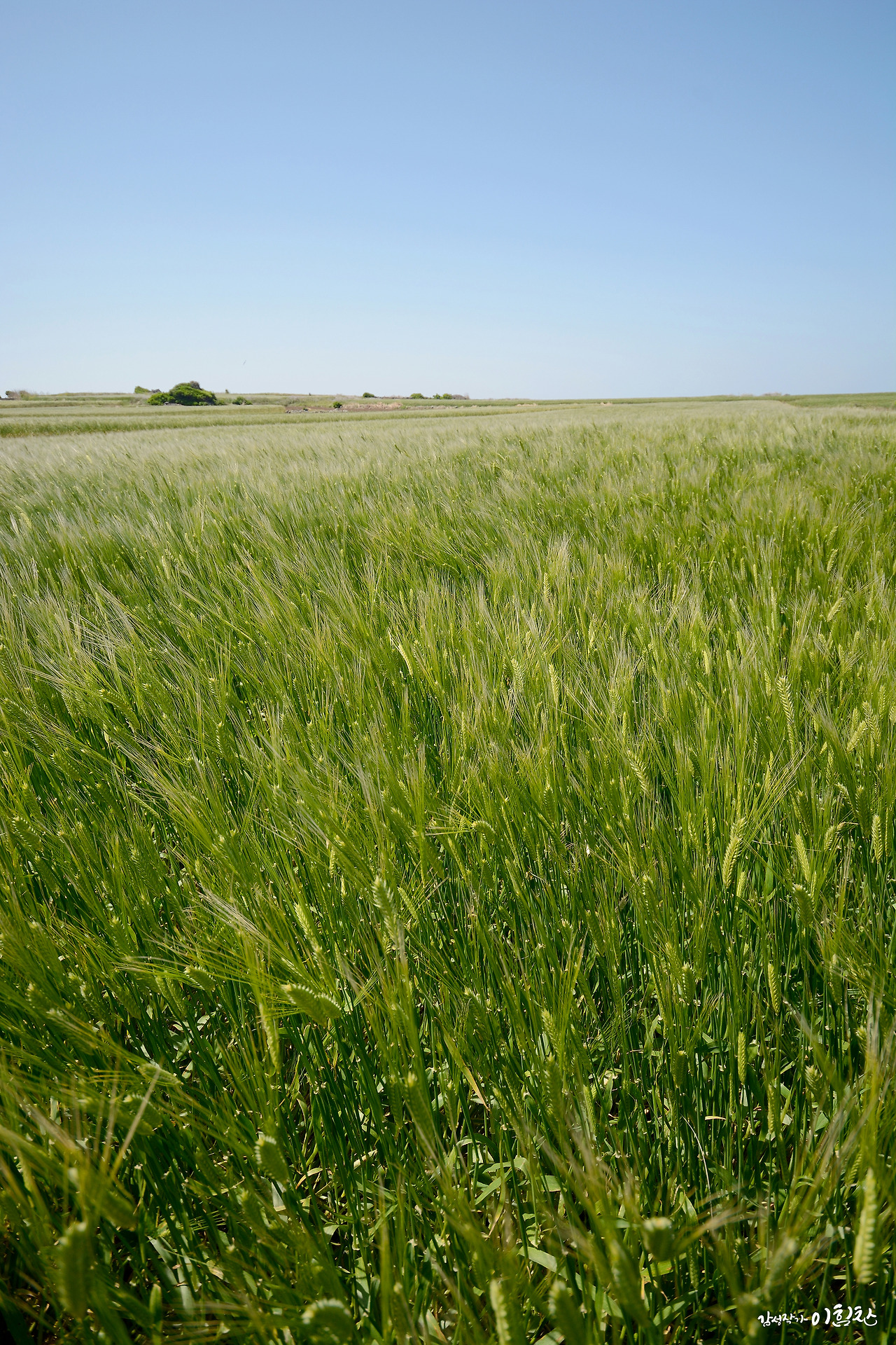 가파도-세로 (1).jpg