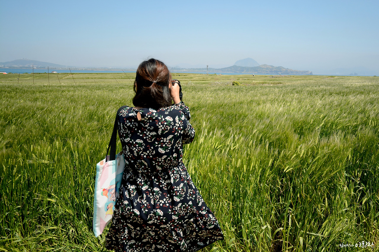 가파도-가로 (6).jpg