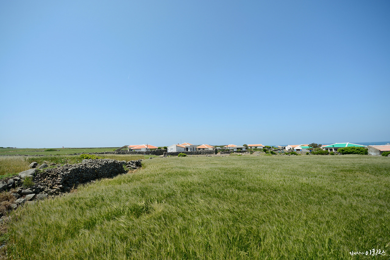 가파도-가로 (2).jpg