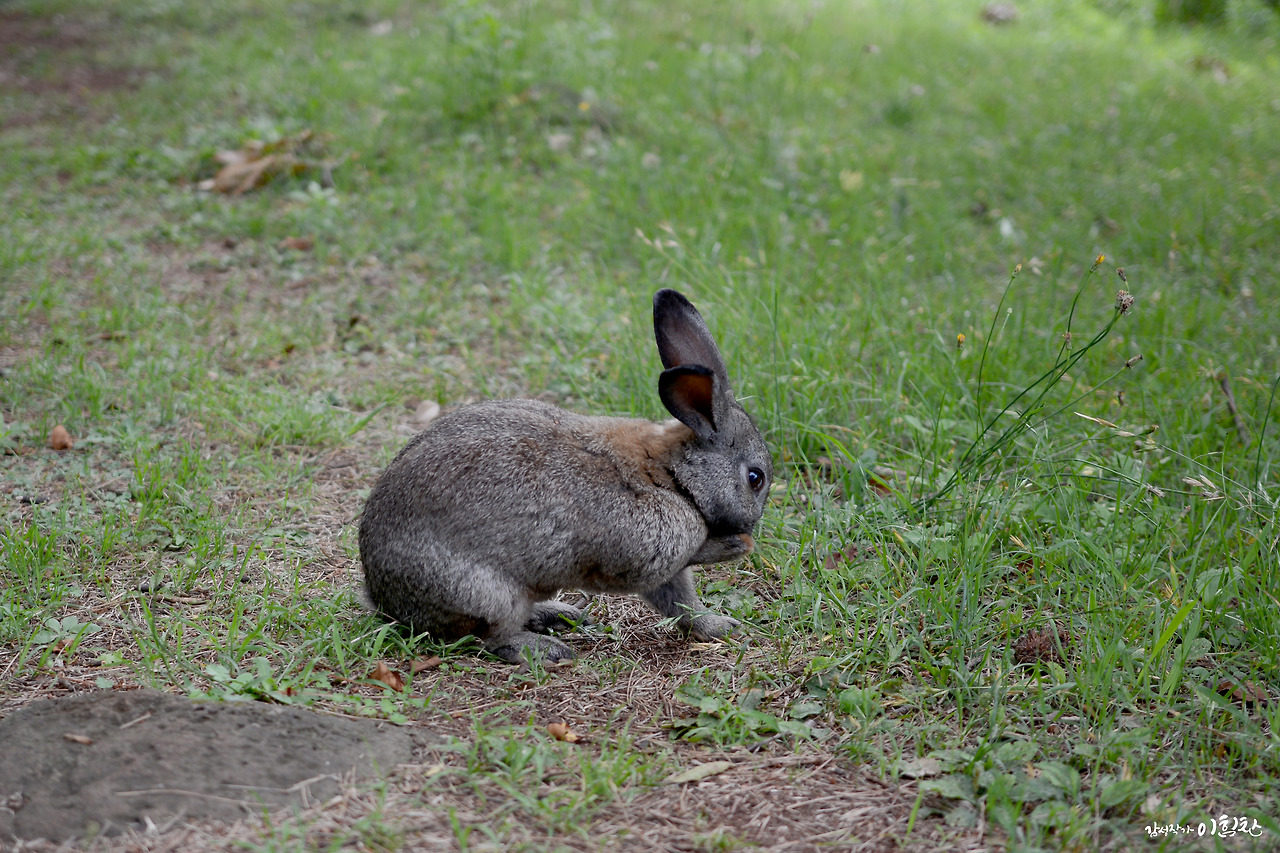 체류34일 (14).jpg