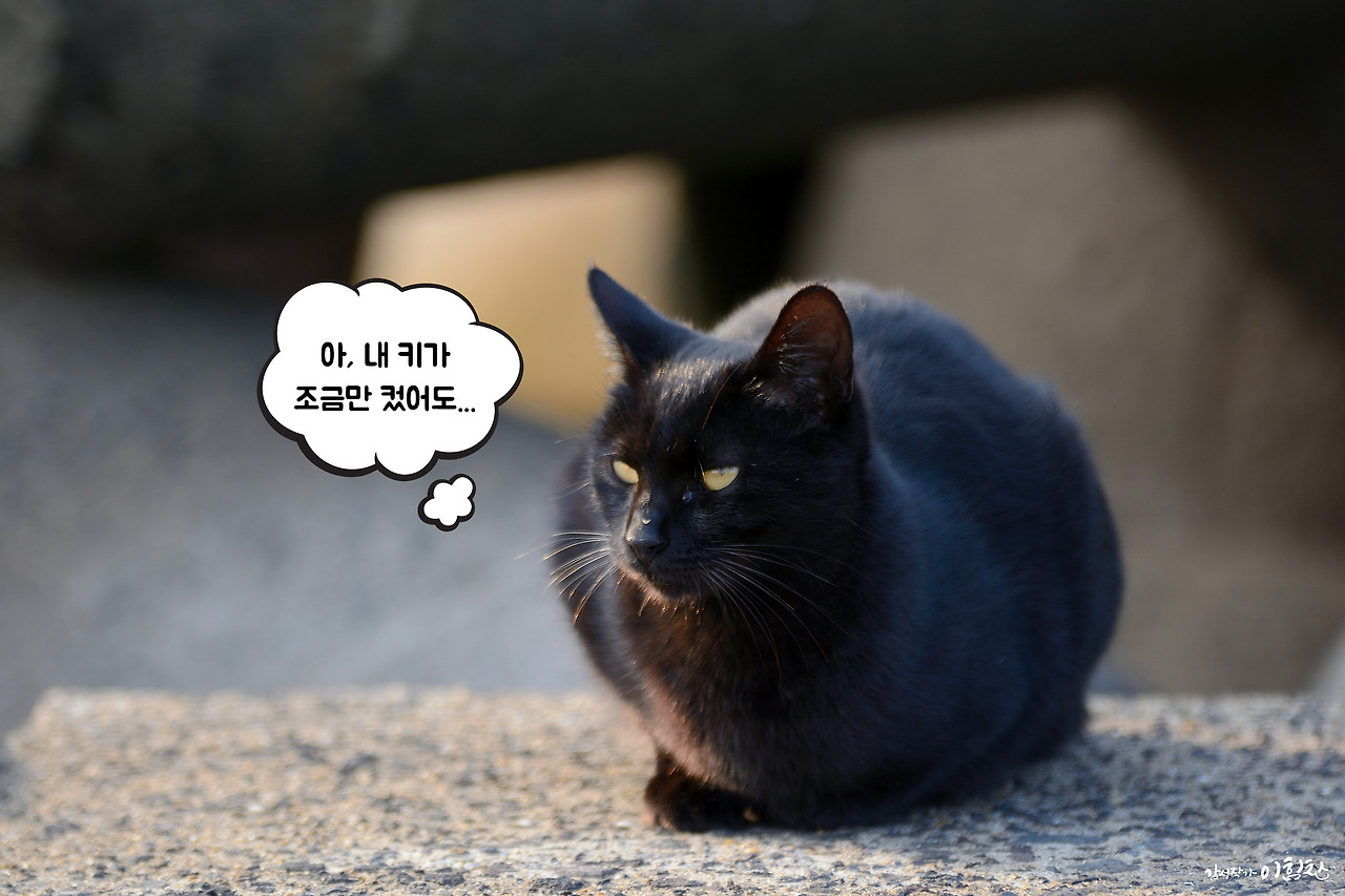 강풀사건 (19).jpg