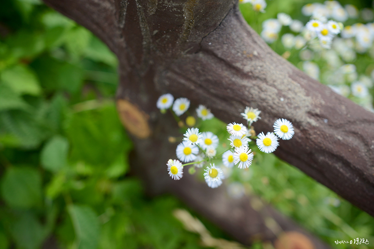 체류34일 (12).jpg