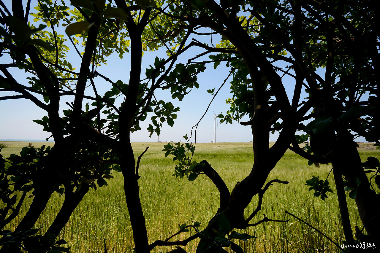 가파도-가로 (10).jpg