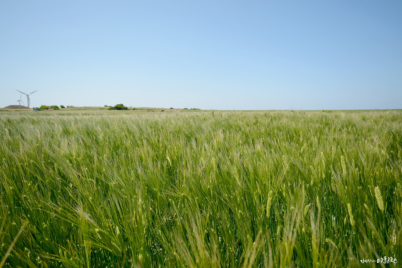 가파도-가로 (4).jpg