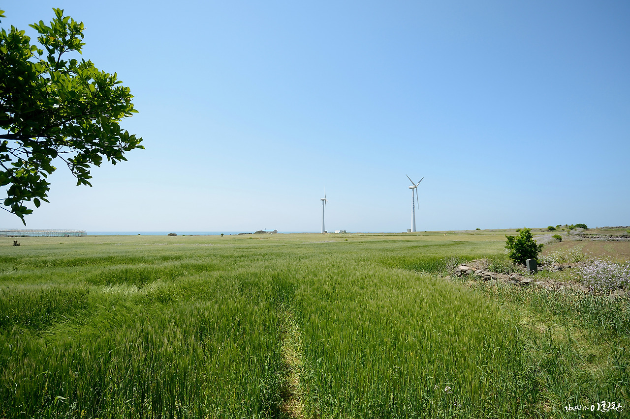 가파도-가로 (8).jpg