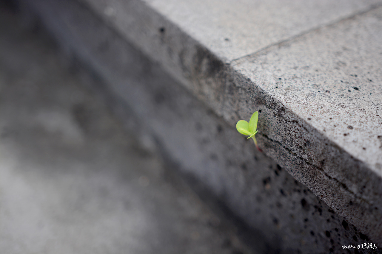 체류34일 (10).jpg