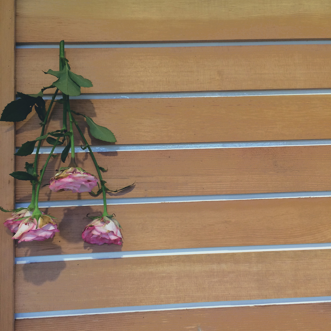 6-1우리가 놓아둔 것들.jpg