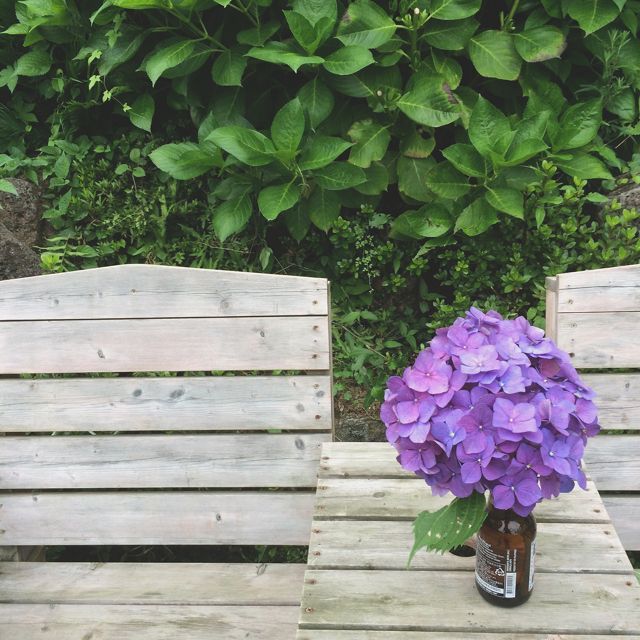 6-2우리가 놓아둔 것들.jpg