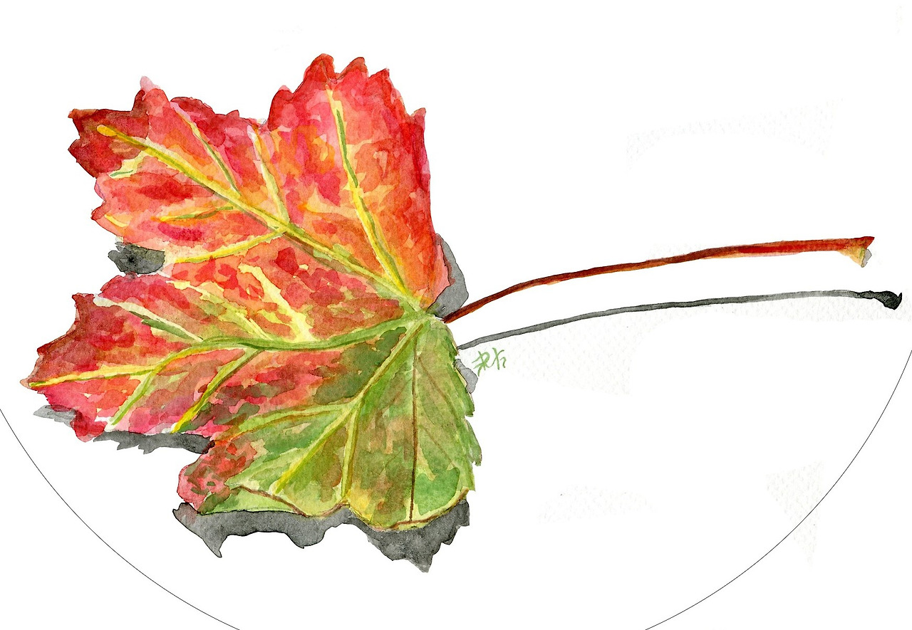 leaf-769735_1920 (2).jpg