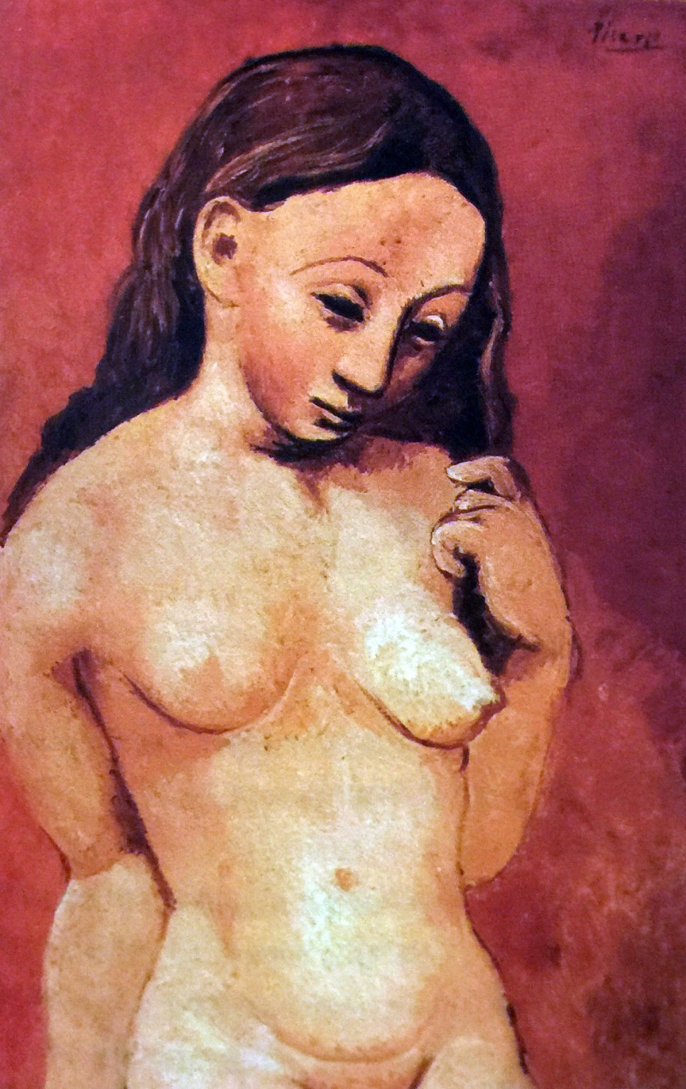 피카소 붉은 배경의 누드.jpg