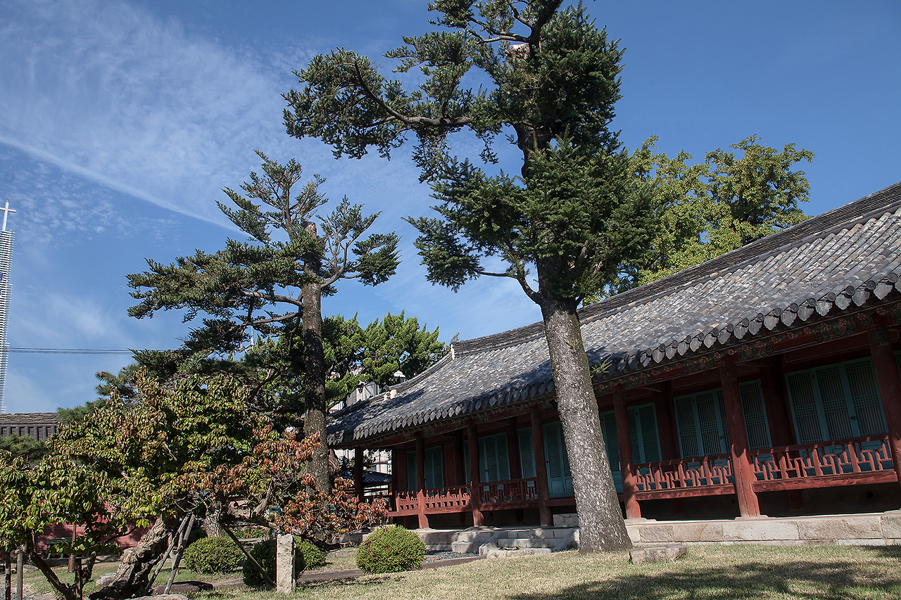 IMG_7701 경주문화원 내 스웨덴 황태자가 심은 전나무 두 그루.jpg