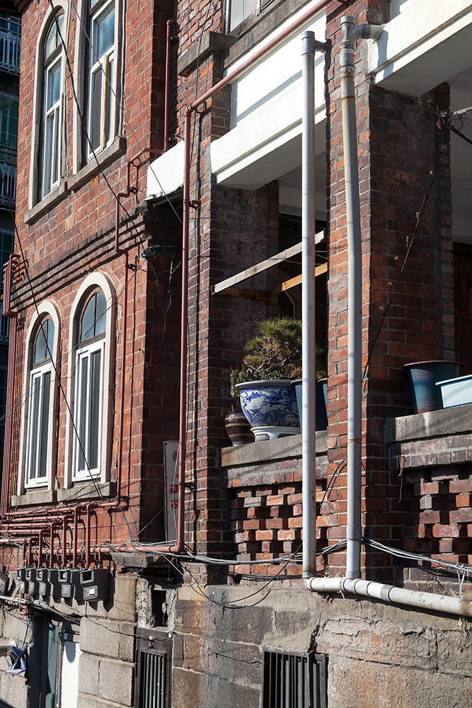 IMG_5736 딜큐샤.jpg