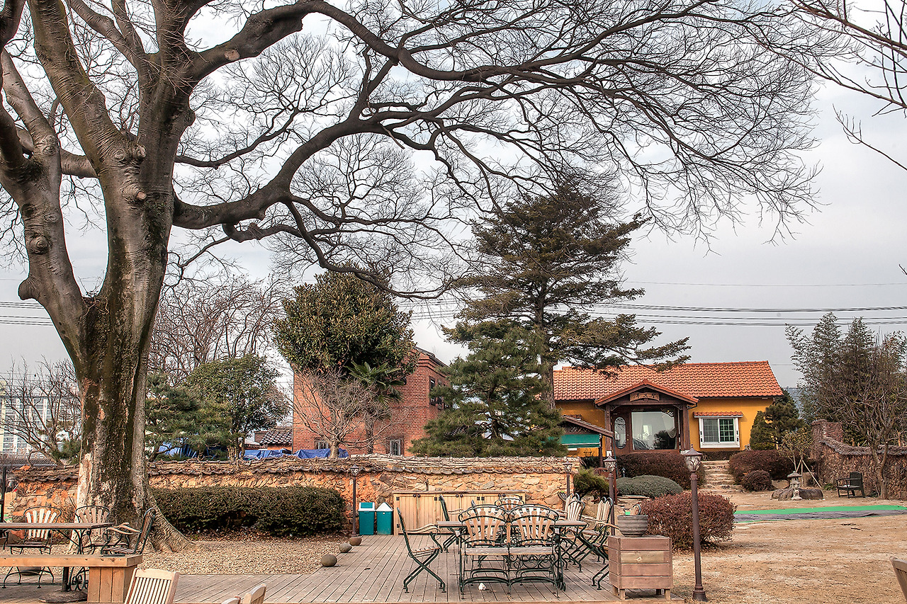 IMG_8584 250년 팽나무 뒤로 보이는 문서고와 성류정.jpg