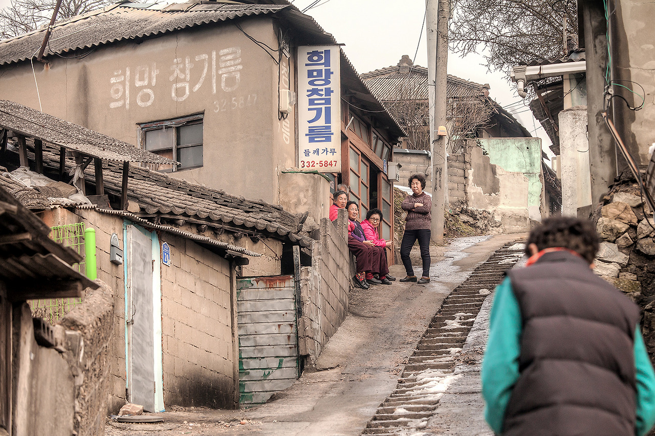 IMG_8657 희망참기름(메인).jpg