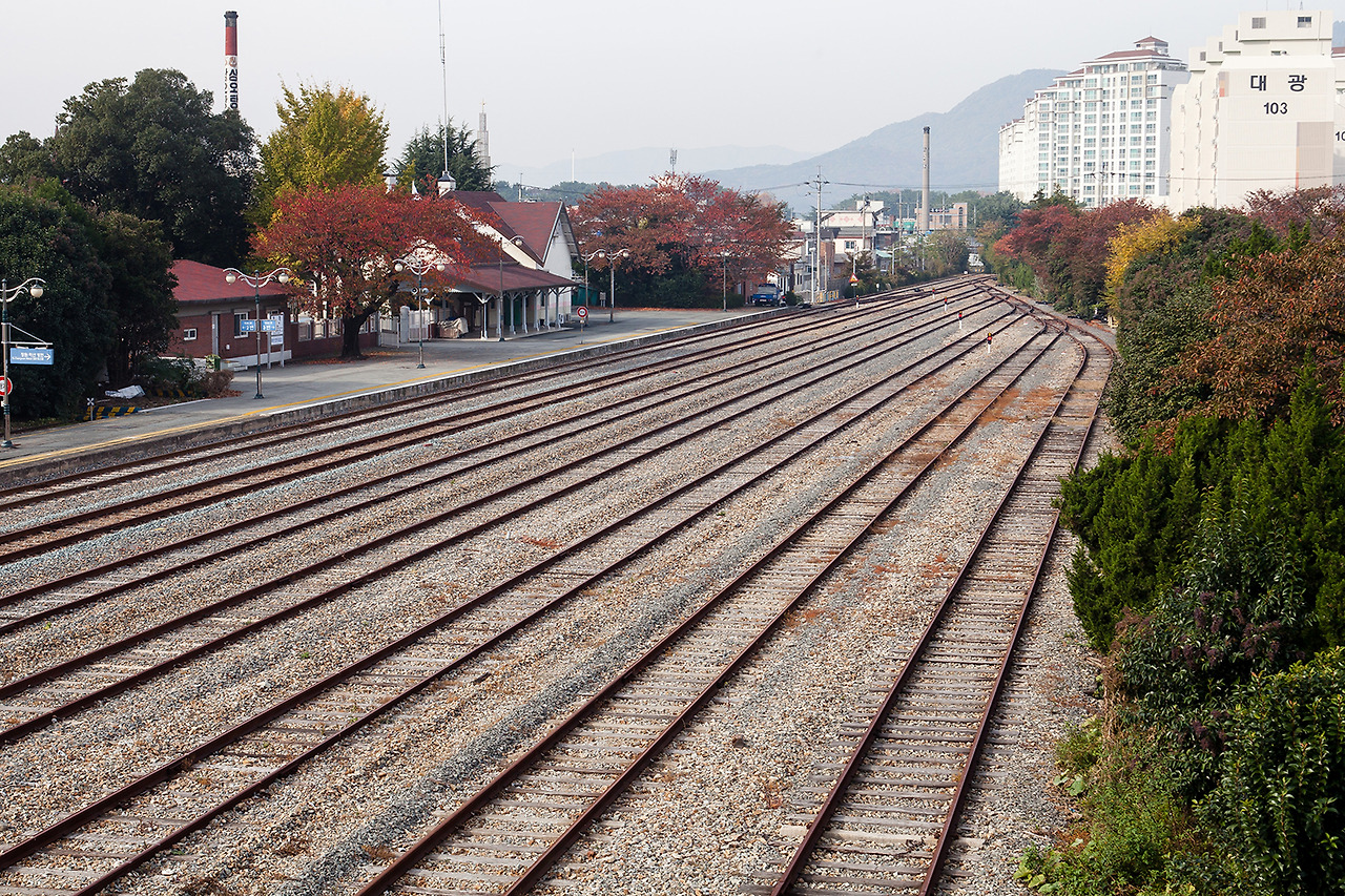 IMG_1487 진해역.jpg