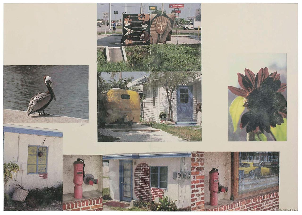 Robert_Rauschenberg_Tenant_Scenarios_2005_217_2x306_1cm_de_Sarthe_Gallery-1.jpg