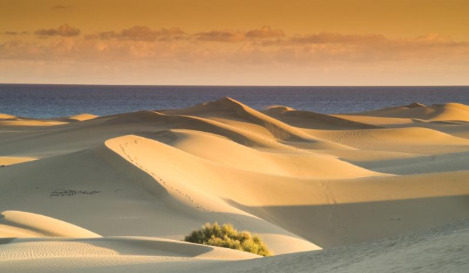 Sand-Dunes-Gran-Canaria-2.jpg