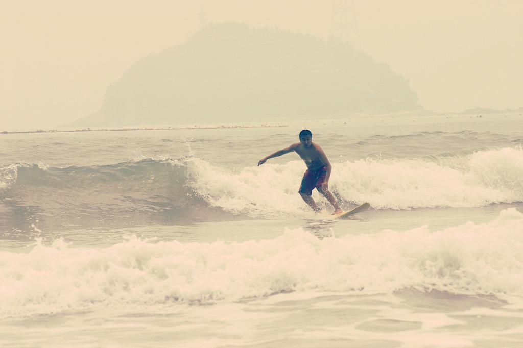 hairy_금일도 162.jpg