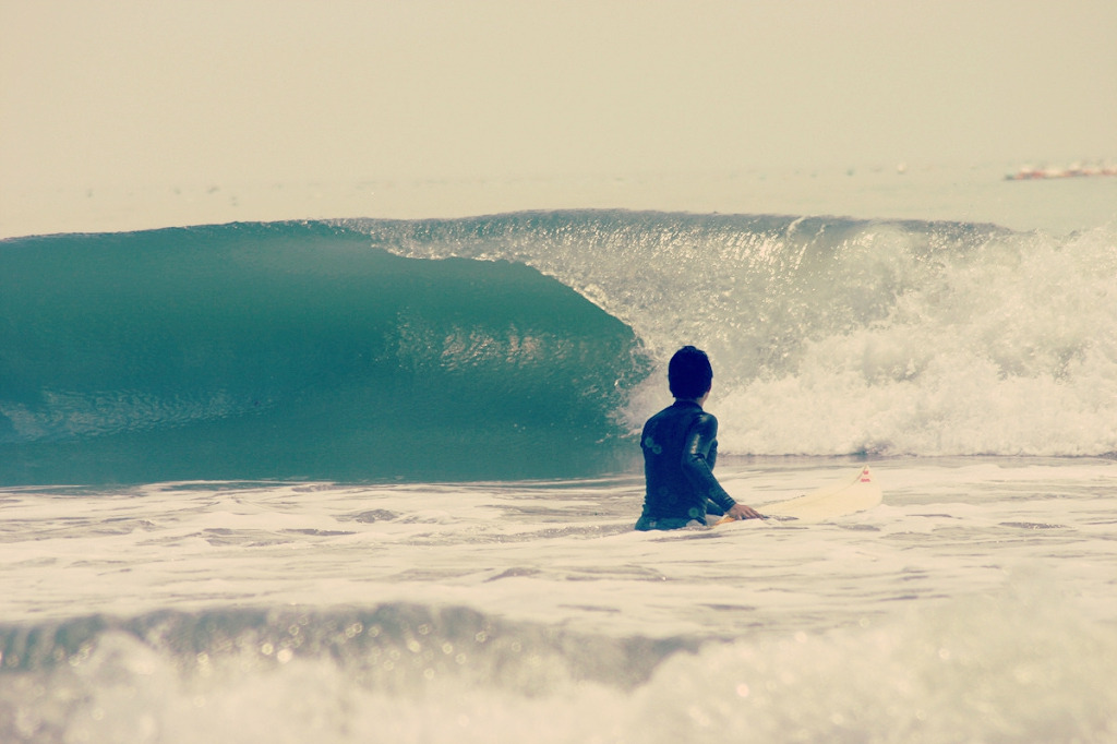 hairy_금일도 137.jpg