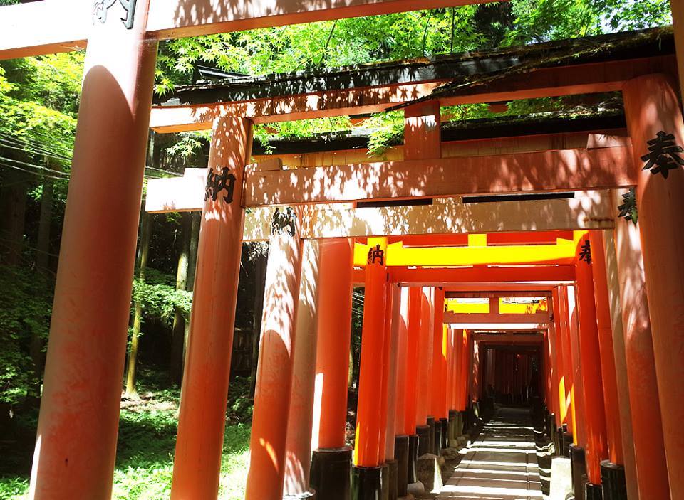 후시미이나리 2.jpg